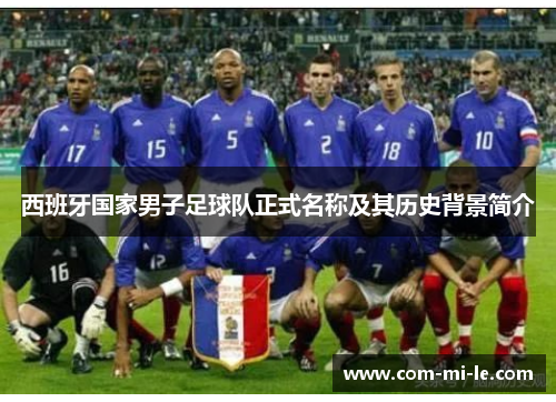 西班牙国家男子足球队正式名称及其历史背景简介