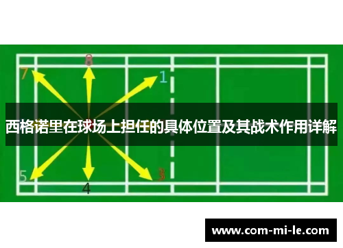 西格诺里在球场上担任的具体位置及其战术作用详解