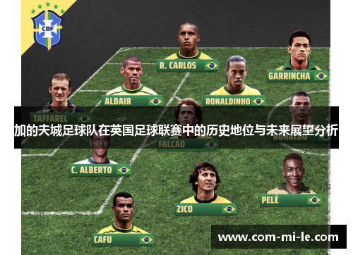 加的夫城足球队在英国足球联赛中的历史地位与未来展望分析 加的夫城足球队在英国足球联赛中的历史地位与未来展望分析
