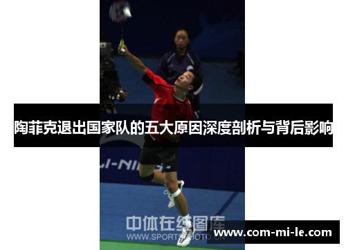 陶菲克退出国家队的五大原因深度剖析与背后影响 陶菲克退出国家队的五大原因深度剖析与背后影响
