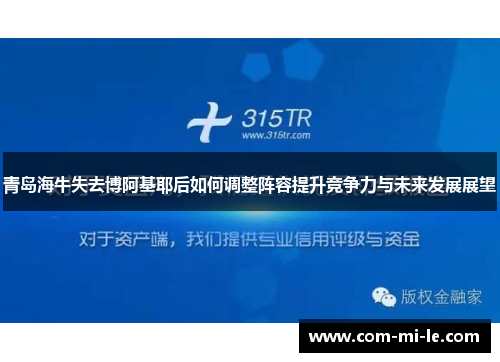 青岛海牛失去博阿基耶后如何调整阵容提升竞争力与未来发展展望