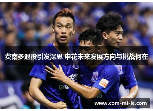费南多退役引发深思 申花未来发展方向与挑战何在