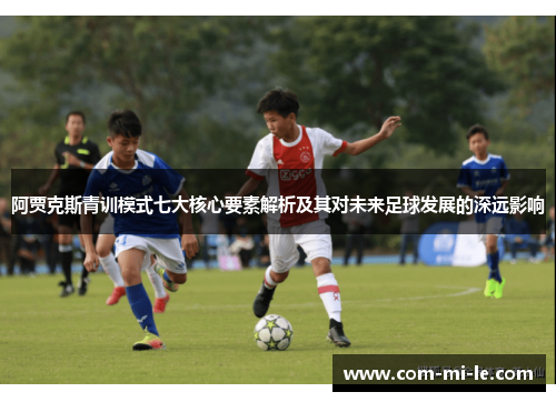 阿贾克斯青训模式七大核心要素解析及其对未来足球发展的深远影响