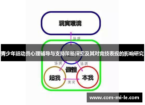 青少年运动员心理辅导与支持策略探索及其对竞技表现的影响研究