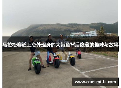 马拉松赛道上意外现身的大带鱼背后隐藏的趣味与故事